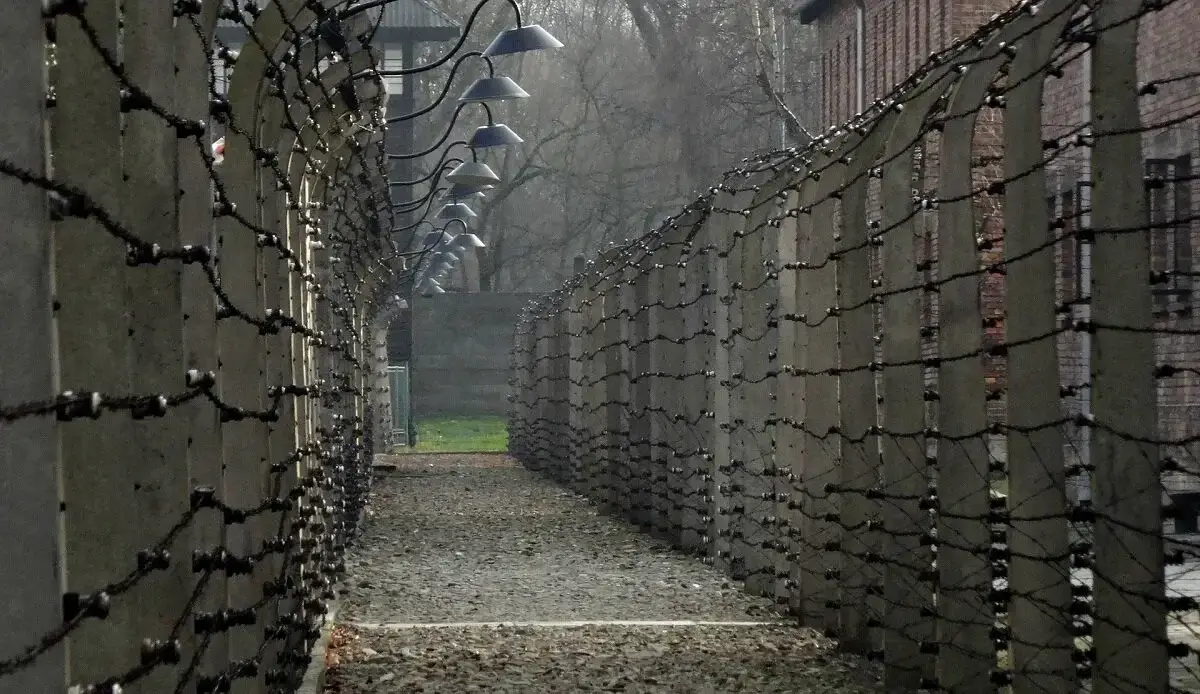 Zäune Auschwitz